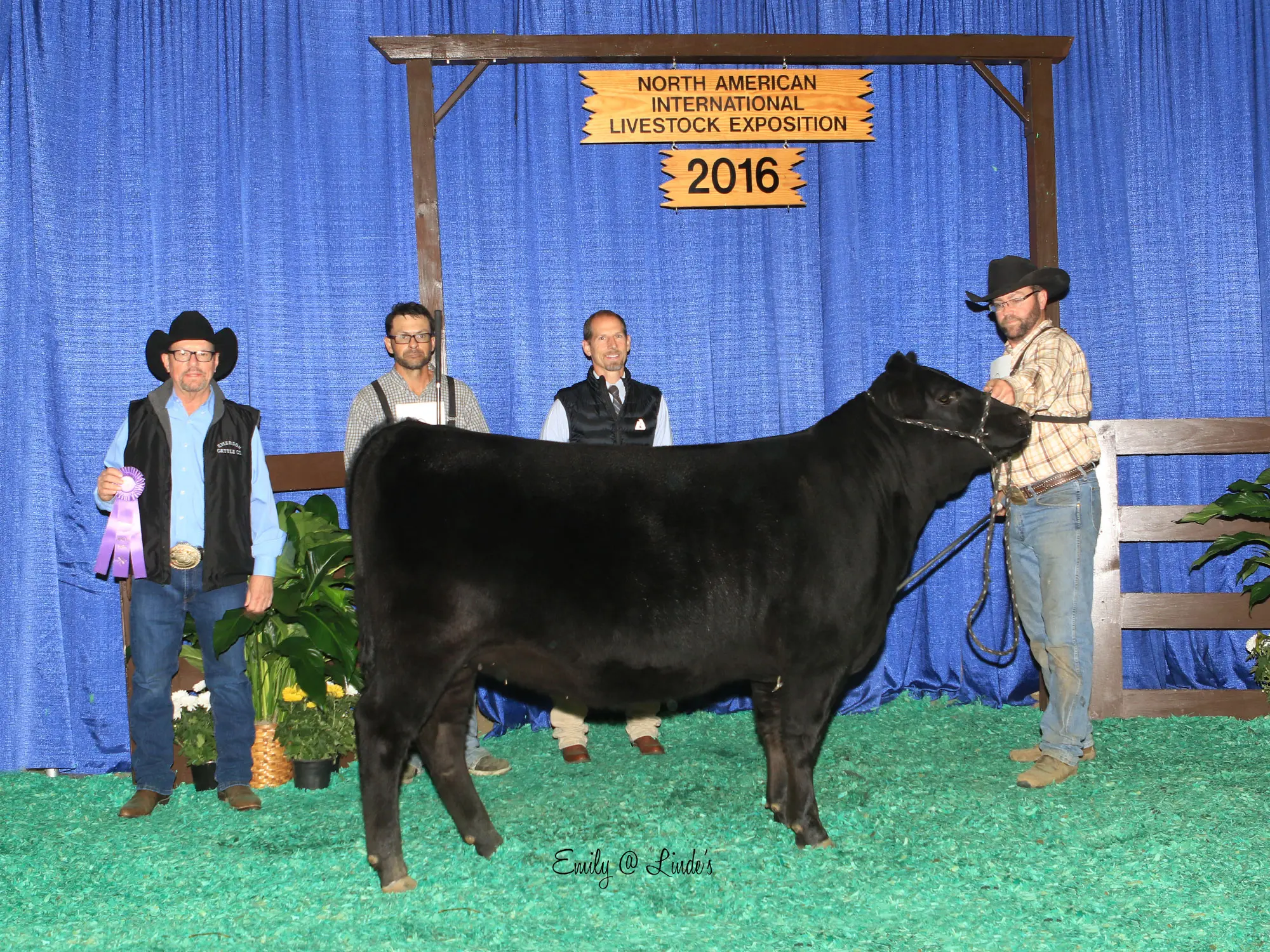 Emerson Cattle 2016 Winner