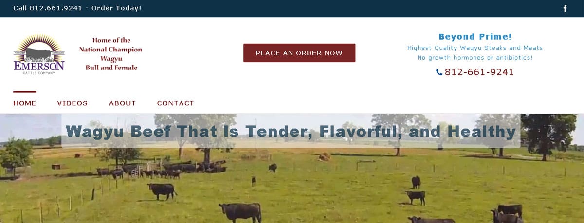 Featured Client: Emerson Cattle Company